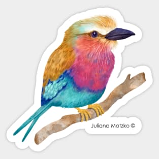 Lilac Breasted Roller Bird Realistic Illustration Sticker